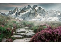 Bondecor Obraz, tištěné plátno Scenerie 70 x 110 cm