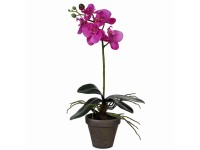 Mica Decorations Umělá orchidej fialová 48 cm