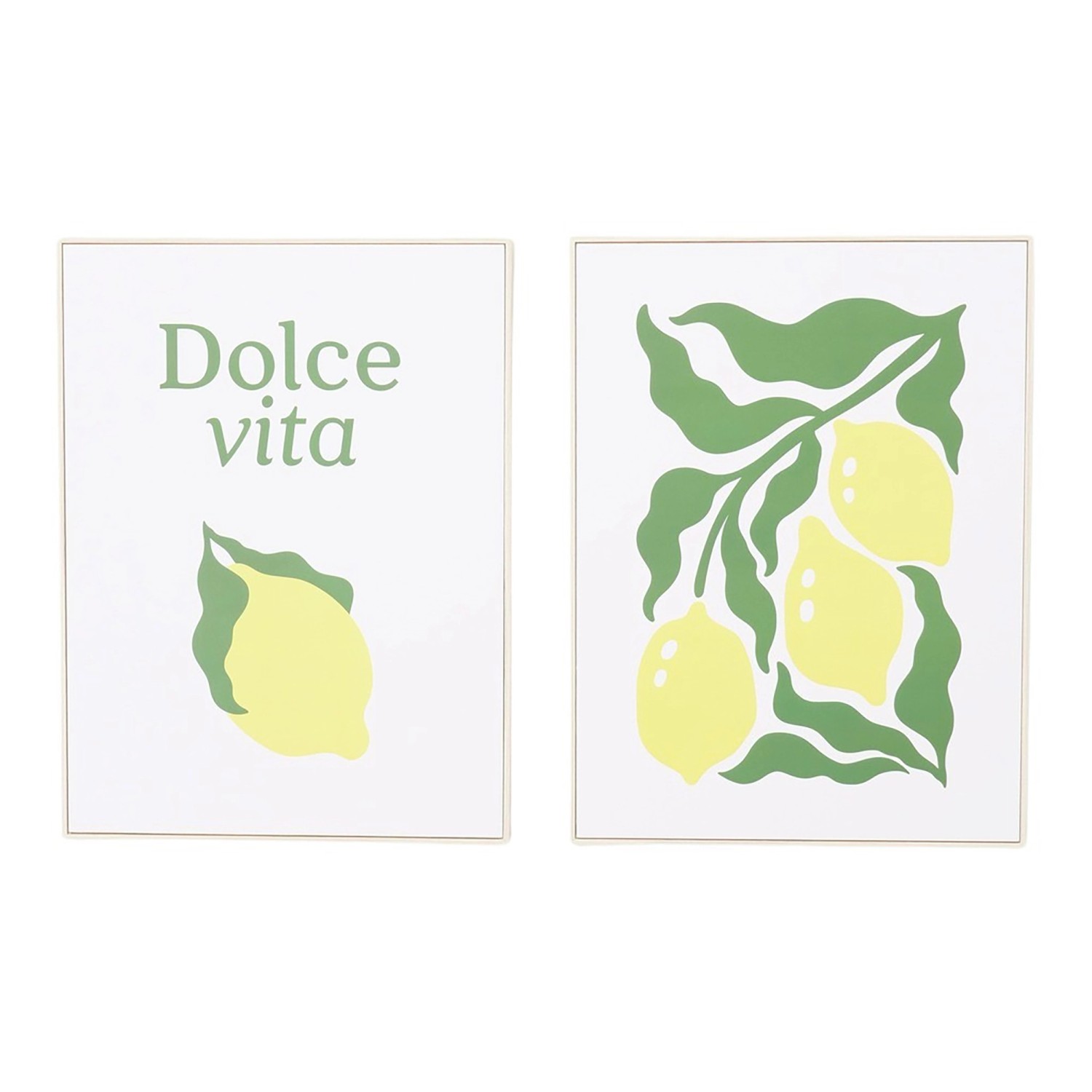 Boltze Obraz Vita různé druhy 40 x 30 cm, 1 ks