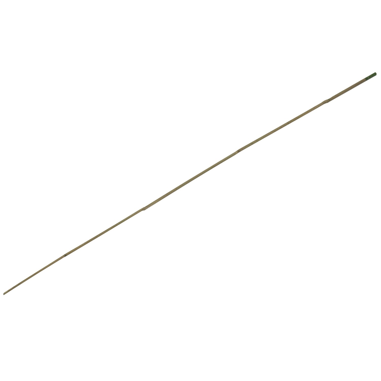 OBI Bambusová tyč 150 cm x průměr 2 cm