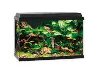 Juwel Aquarium Akvarijní set Primo LED, černý, 70 l, 61 x 31 x 44 cm