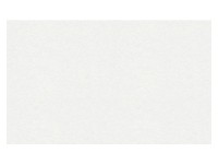 A. S. Creation Přetíratelná vliesová tapeta Meistervlies Creativ bílá 563217 A. S. Creation Přetíratelná vliesová tapeta Meistervlies Creativ bílá 563217