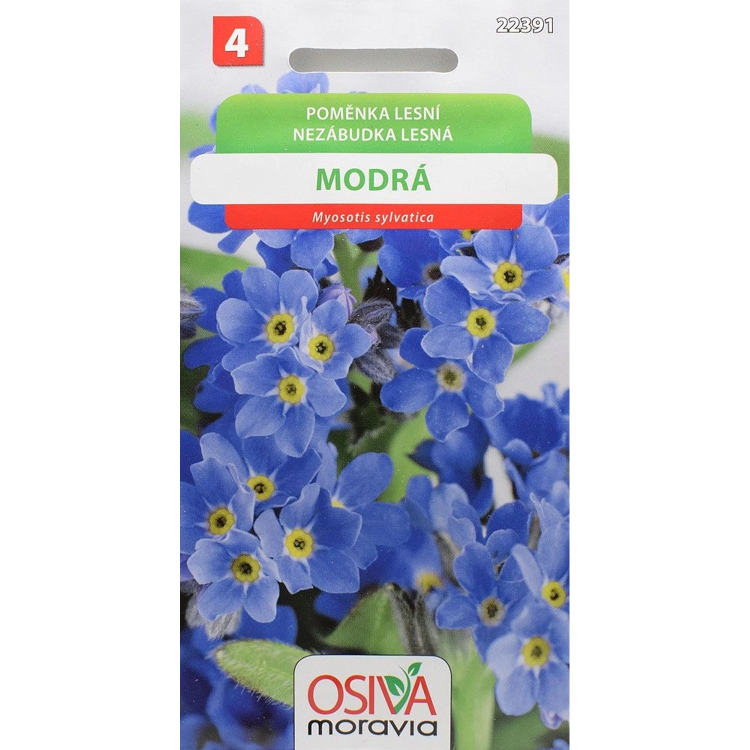 Semínka Pomněnka lesní modrá (Myosotis sylvatica)