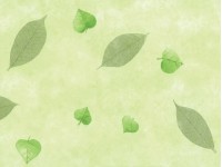 d-c-table Ubrus Manhattan Nancy Grün, šířka 140 cm - metráž