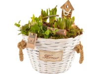 Aranžmá s různými květinami kvetoucími na jaře v košíku s uchem