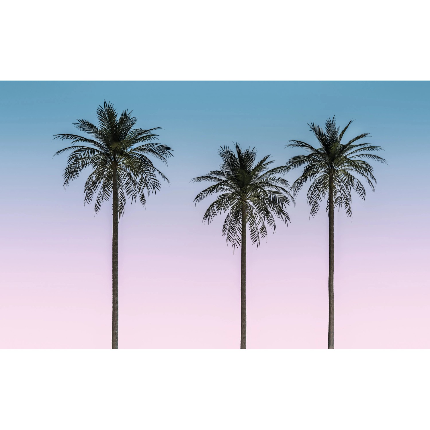 Komar Vliesová fototapeta Skyhigh 400 x 250 cm