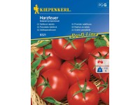 Kiepenkerl Salátová rajčata (Solanum lycopersicum) Harzfeuer F1