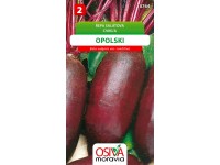 Řepa Salátová - Opolski (Beta vulgaris var. conditiva)