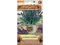 Moravoseed Levandule lékařská Moravoseed Levandule lékařská