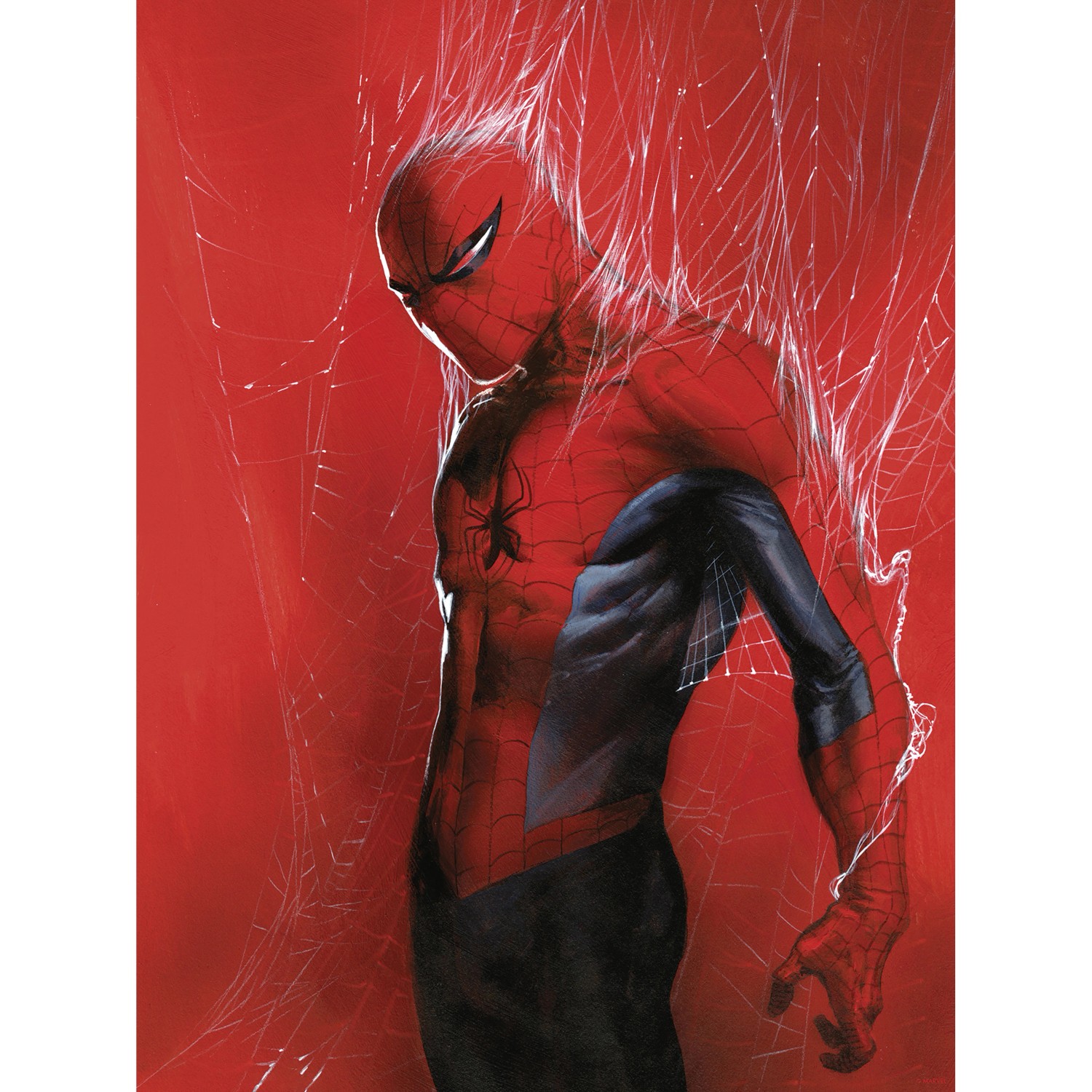 Komar Plakát Marvel Spider-Man Through the Spider Web 30 cm x 40 cm