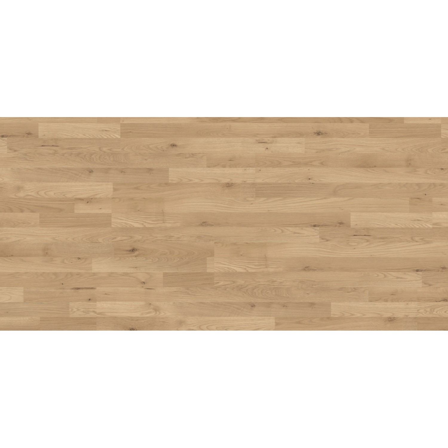 Kaindl Laminátová podlaha 37528 dub Trevi 1380 x 193 x 6 mm