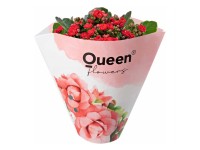 GROW by OBI Kolopejka vděčná (Kalanchoe) dvoukvětá červená, 20-25 cm, pr. 105 cm