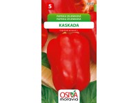 Paprika Zeleninová - sladká - Kaskada (Capsicum annuum L.)
