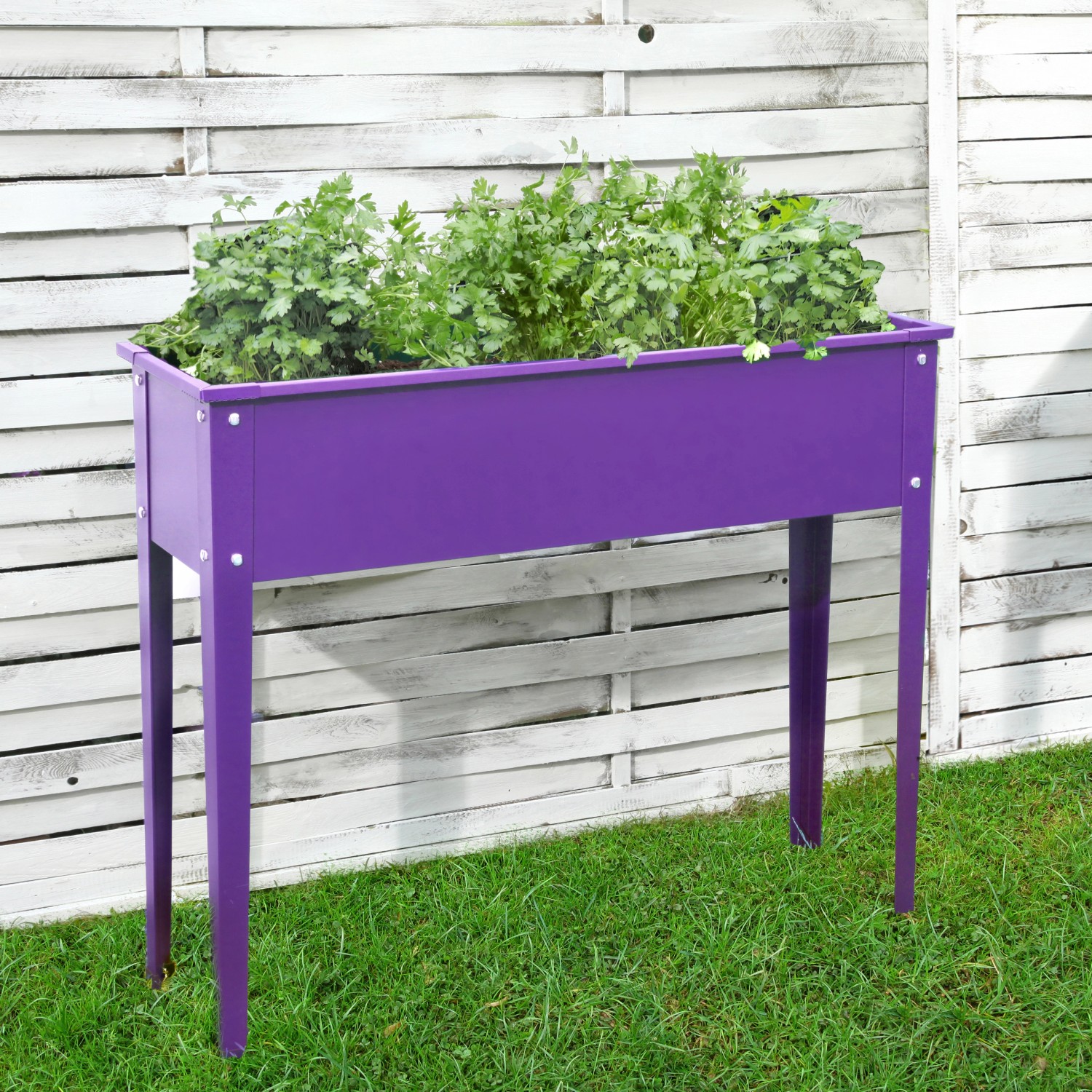 Floraworld Vyvýšený záhon Season nachový 100 x 30 x 80 cm