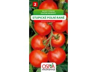 Rajče tyčkové - Stupické polní rané (Solanum lycopersicum)