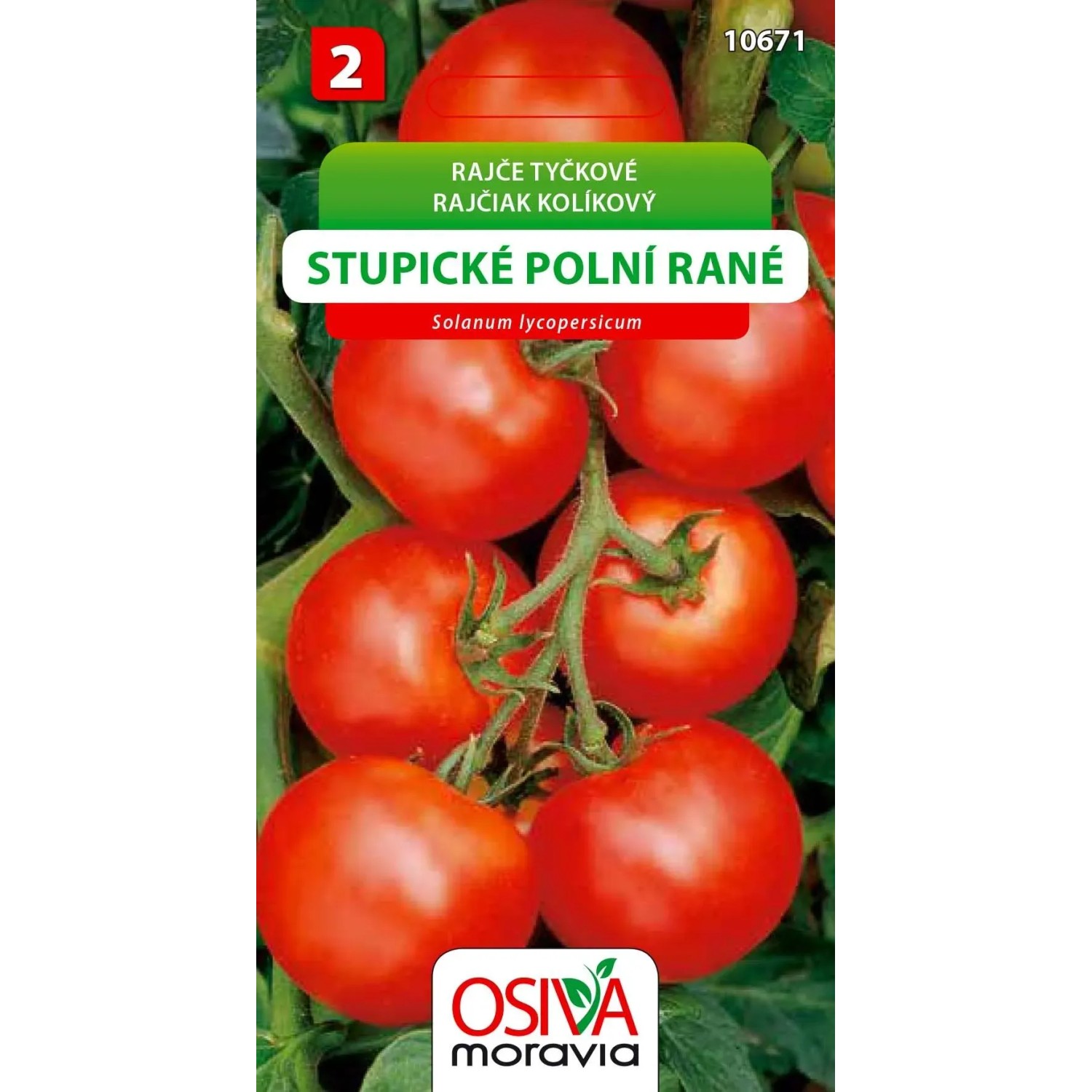 Rajče tyčkové - Stupické polní rané (Solanum lycopersicum)