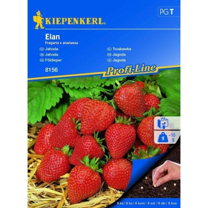 Kiepenkerl Semana Jahoda Elan