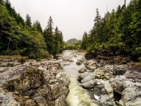 Bondecor Obraz, tištěné plátno Nature 60 x 80 cm