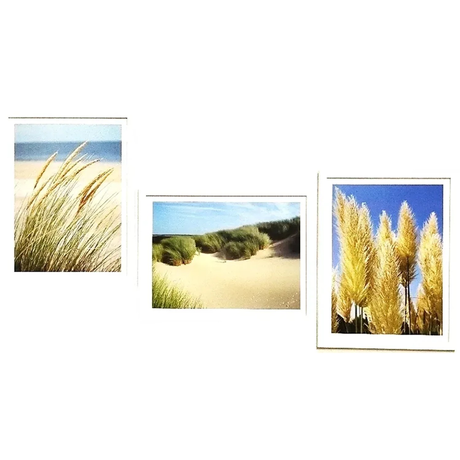 Bondecor Sada obrazů Grass 42 x 98 cm