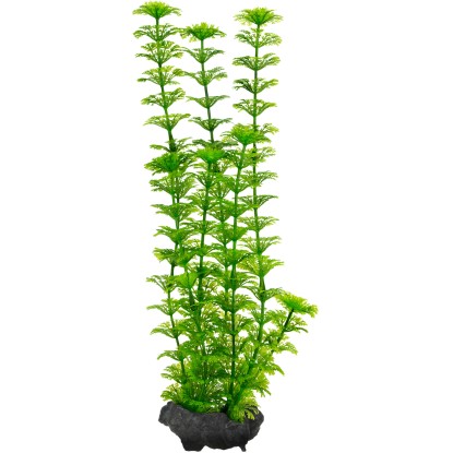 Tetra Rostlina do akvária Ambulia M 23 cm