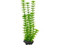 Tetra Rostlina do akvária Ambulia M 23 cm