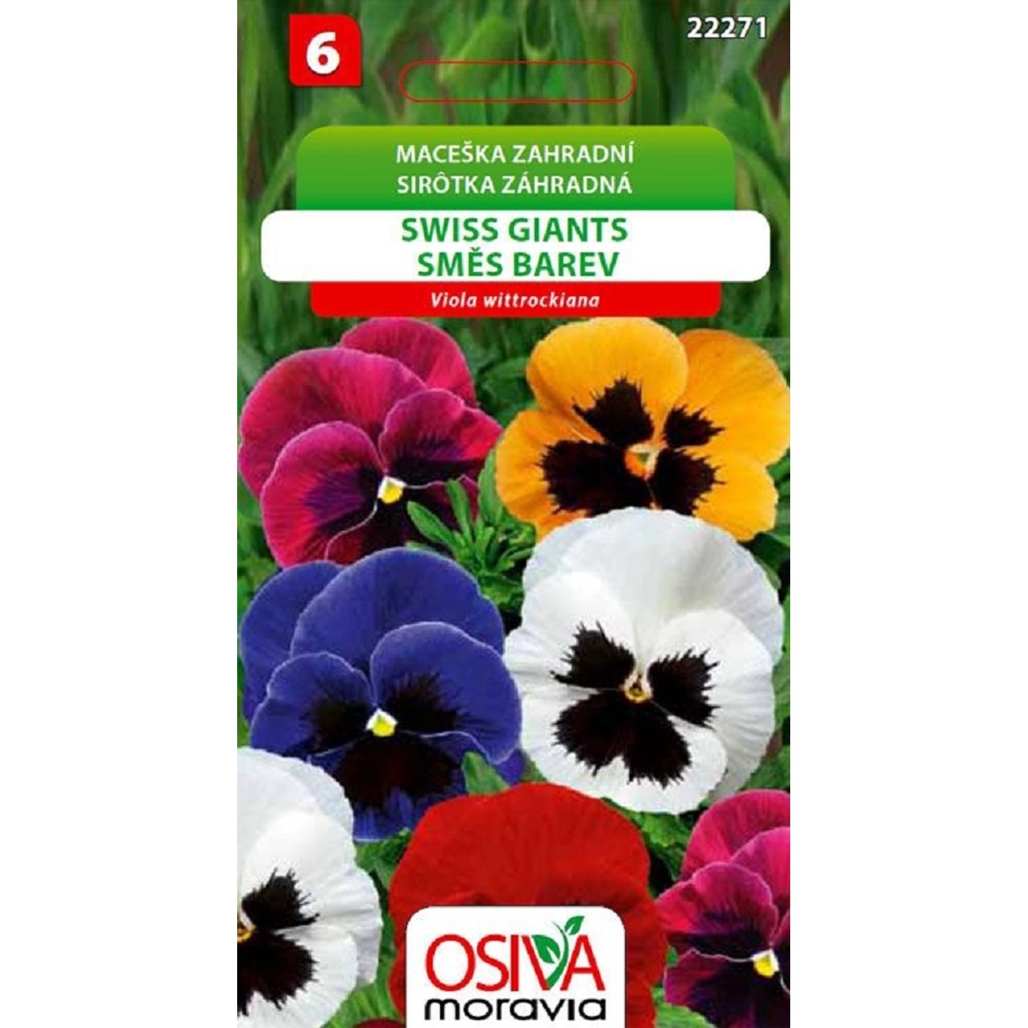 Semínka Maceška zahradní Swiss Giants (Viola wittrockiana)
