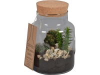 Green Bottle® Skleněný cylindr s mixem kaktusů průměr květináče cca 19 cm