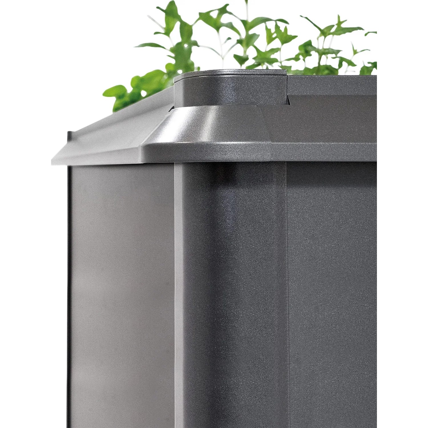 Biohort Ochrana před hlemýždi a slimáky pro 2 x 1, křemenově šedá, 6 cm