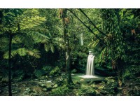 Komar Vliesová fototapeta My Hidden Treasure 400 x 250 cm Komar Vliesová fototapeta My Hidden Treasure 400 x 250 cm