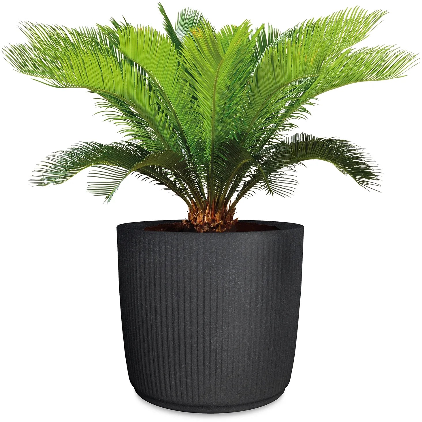 Scheurich Linetto 30 Fioriera Rotonda Stony Black - Vaso In Plastica Riciclata Con Scanalature - Resistente Al Gelo E UV - Made In Germany - 5