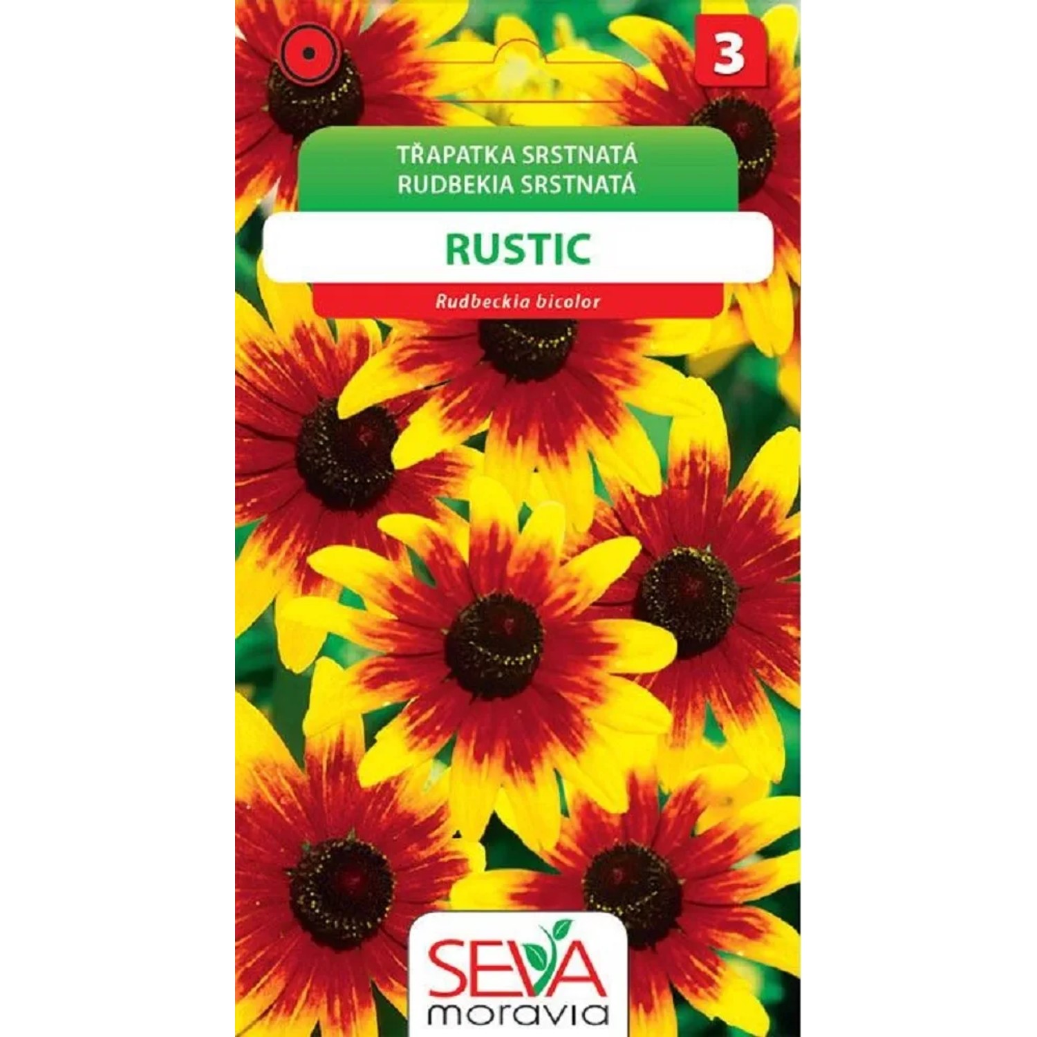 Semínka Třapatka srstnatá Rustic (Rudbeckia hirta)
