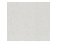 A. S. Creation Přetíratelná vliesová tapeta Meistervlies Creativ bílá 103512 A. S. Creation Přetíratelná vliesová tapeta Meistervlies Creativ bílá 103512