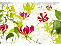 Komar Papírová fototapeta Gloriosa 368 x 254 cm 8 dílná FSC® Komar Papírová fototapeta Gloriosa 368 x 254 cm 8 dílná FSC®