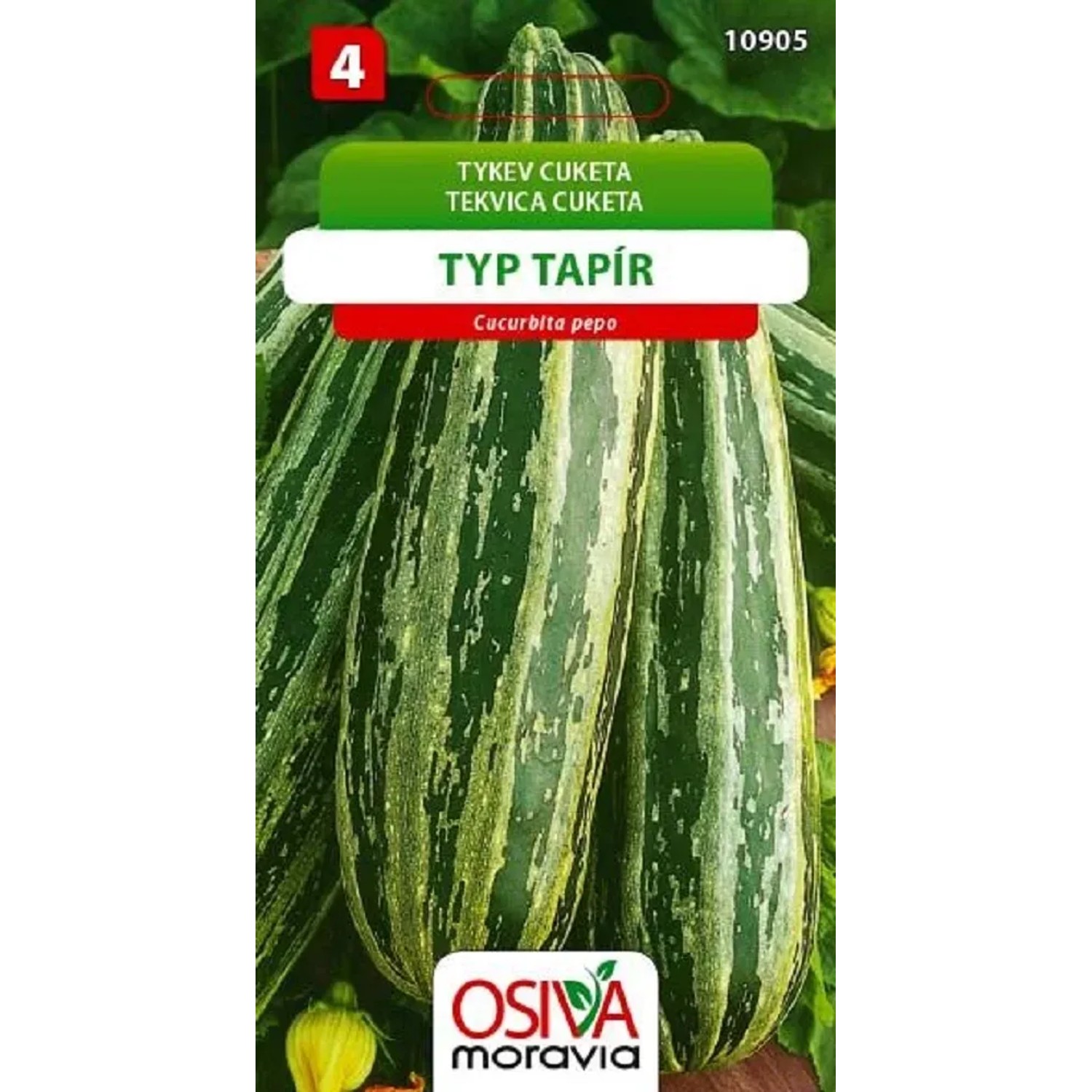 Tykev Cuketa - Tapír (Cucurbita pepo)