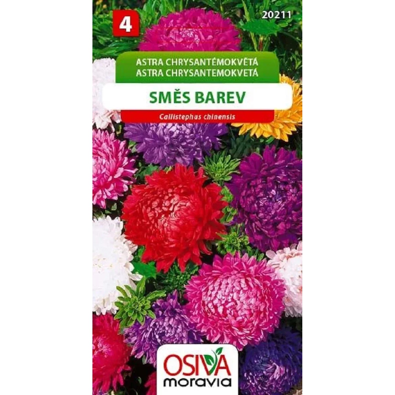 Semínka Astra Čínská - Chrysantémokvětá - směs (Callistephus chinensis)