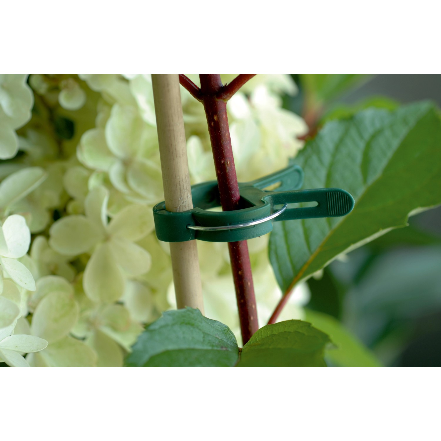 OBI CLS Svorky na rostliny ve 3 velikostech, 20 ks