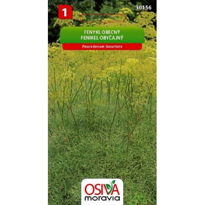 Semínka Fenykl obecný (Peucedanum luxurians)