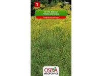 Semínka Fenykl obecný (Peucedanum luxurians) Semínka Fenykl obecný (Peucedanum luxurians)