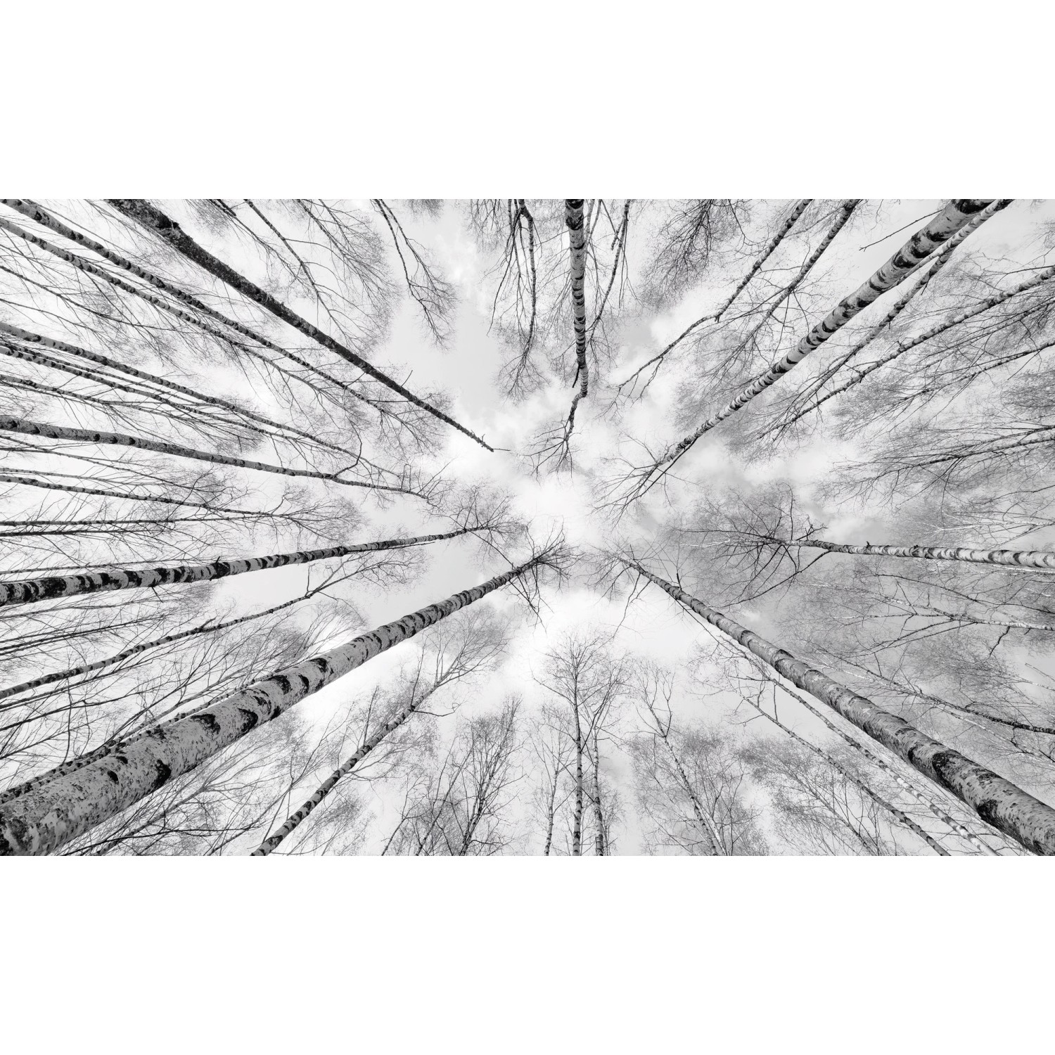 Komar Vliesová fototapeta White-blue 450 x 280 cm