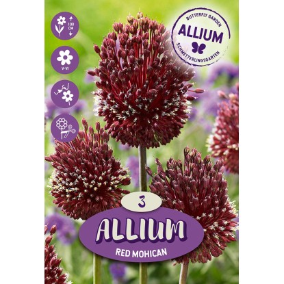 Květinová cibulka Allium ''Red Mohican'', červená, 3 ks