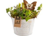 Aranžmá s různými květinami kvetoucími na jaře v zinkovém kbelíku průměr květiná