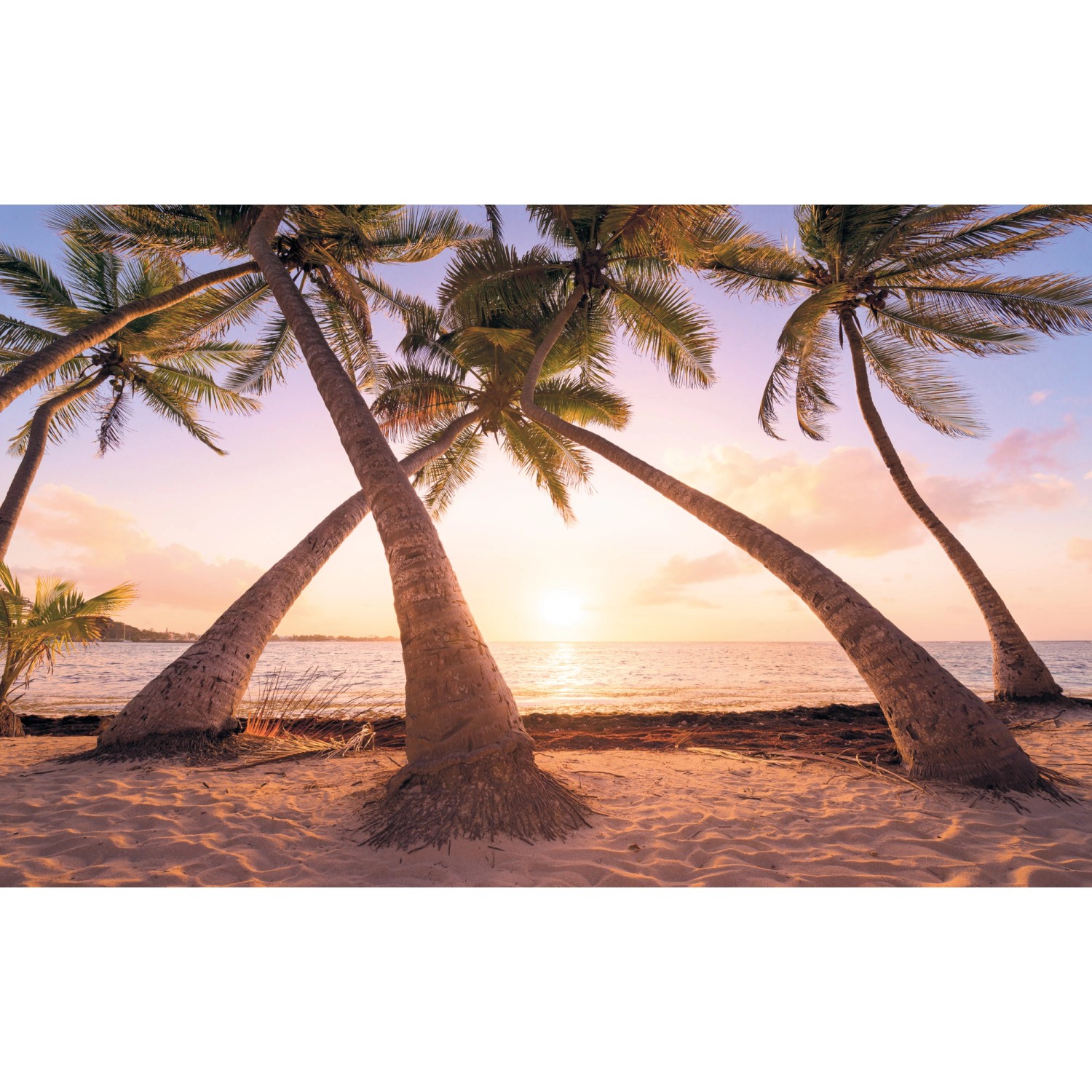 Komar Vliesová fototapeta Reaching the Sun 400 x 250 cm