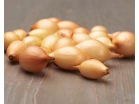 GardenSeed Premium BIO Cibule sázečka raná žlutá - Contado 300 g GardenSeed Premium BIO Cibule sázečka raná žlutá - Contado 300 g