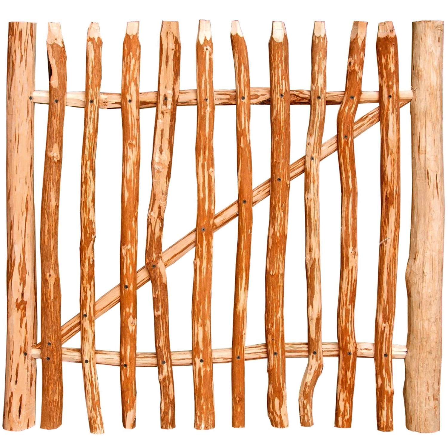 Floraworld Plaňková zahradní branka, líska přírodní, 3-4 cm, 120 x 100 cm