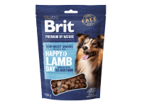 Brit Pamlsek pro psy Premium by Nature Lamb with Sea Buckthorn 180 g Brit Pamlsek pro psy Premium by Nature Lamb with Sea Buckthorn 180 g