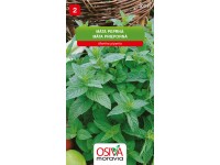 Semínka Máta peprná (Mentha piperita) Semínka Máta peprná (Mentha piperita)