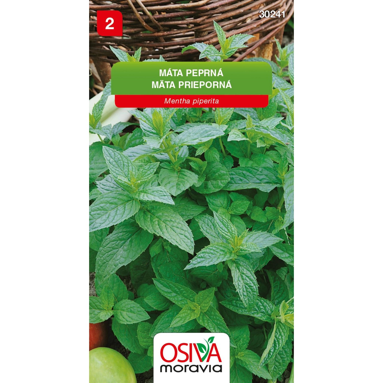 Semínka Máta peprná (Mentha piperita)