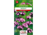 Semínka Hvozdík kartouzek růžový (Dianthus carthuslanorum)