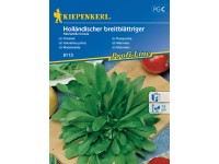 Kiepenkerl Semínka Polníček Holländischer breitblättriger