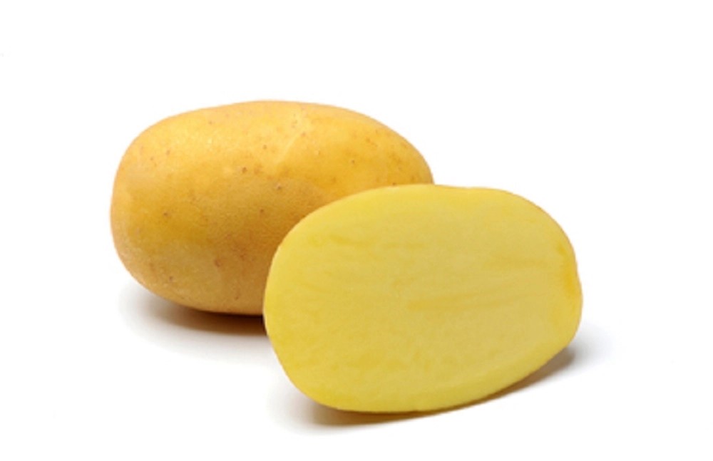 Kolik Stoji Sadbove Brambory (sadbové brambory, sadbových brambor, často nabízejí) Kolik Stoji Sadbove Brambory